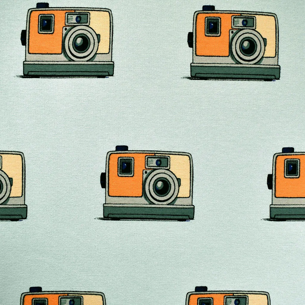 See You at Six Vintage Cameras French Terry Misty Green